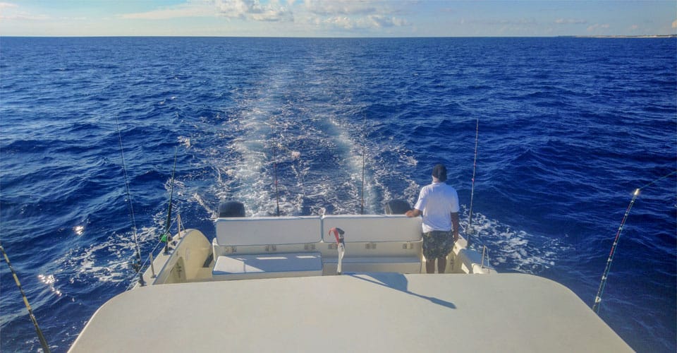 Blu Bi U — Coconut Reef — 2