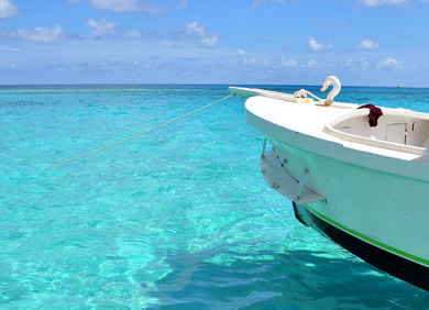 Go sightseeing from the boat
