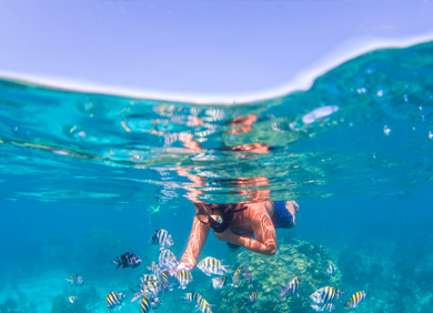 Snorkel the crystal clear waters